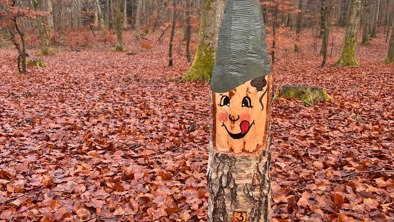 Nisse i Fladbro Skov